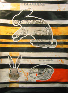 Der Hase 2009 (C) Gine Selle