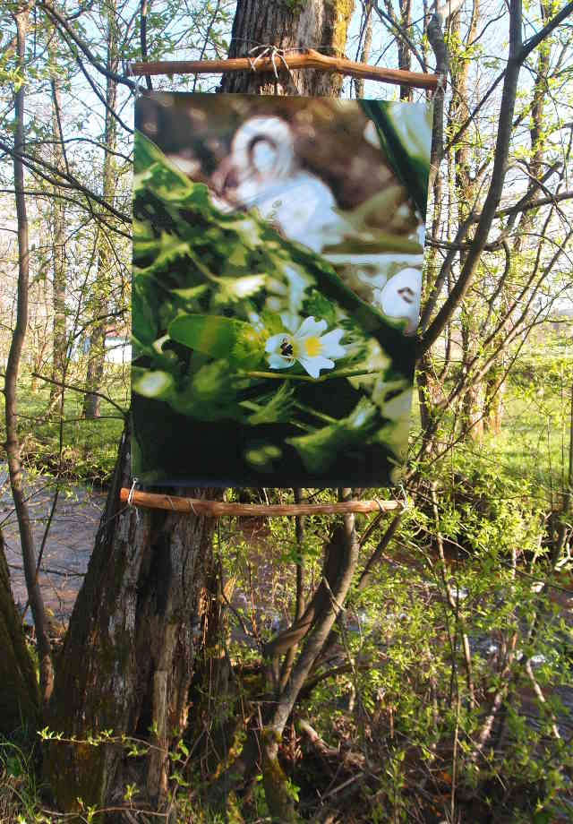 Installation "Der Weg und das Halbrund" - Frauenau  (C) Gine Selle 2016