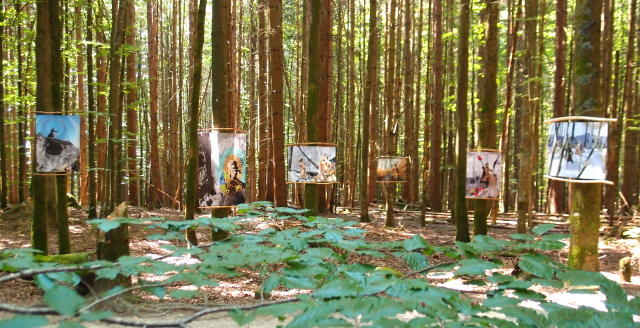 Eroberung einer neuen Heimat - Waldinstallation in Zwieselerwaldhaus  (C) Gine Selle 2010