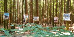 Waldinstallation "Eroberung einer neuen Heimat" - Zwieselerwaldhaus  © Gine Selle 2015