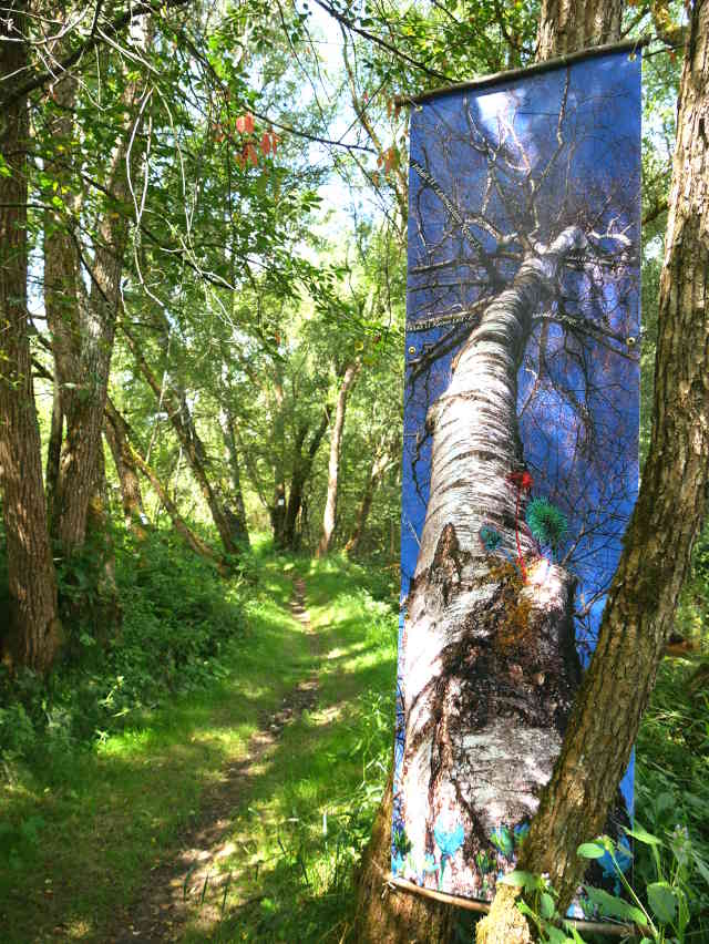 "Der Weg und das Halbrund III - Kunstinstallation am Weg entlang der Flanitz" - Frauenau  (C) Gine Selle 2016