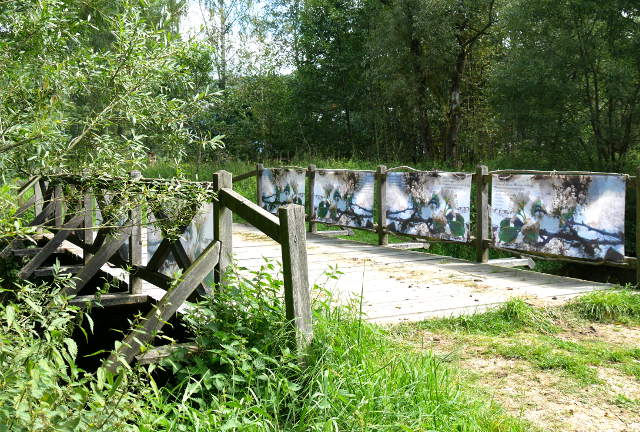 "Der Weg und das Halbrund III - Kunstinstallation am Weg entlang der Flanitz" - Frauenau  (C) Gine Selle 2016