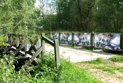 "Der Weg und das Halbrund III - Kunstinstallation am Weg entlang der Flanitz" - Frauenau  © Gine Selle 2016