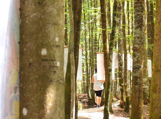 Waldinstallation "Eroberung einer neuen Heimat" - Zwieselerwaldhaus  (C) Gine Selle 2015